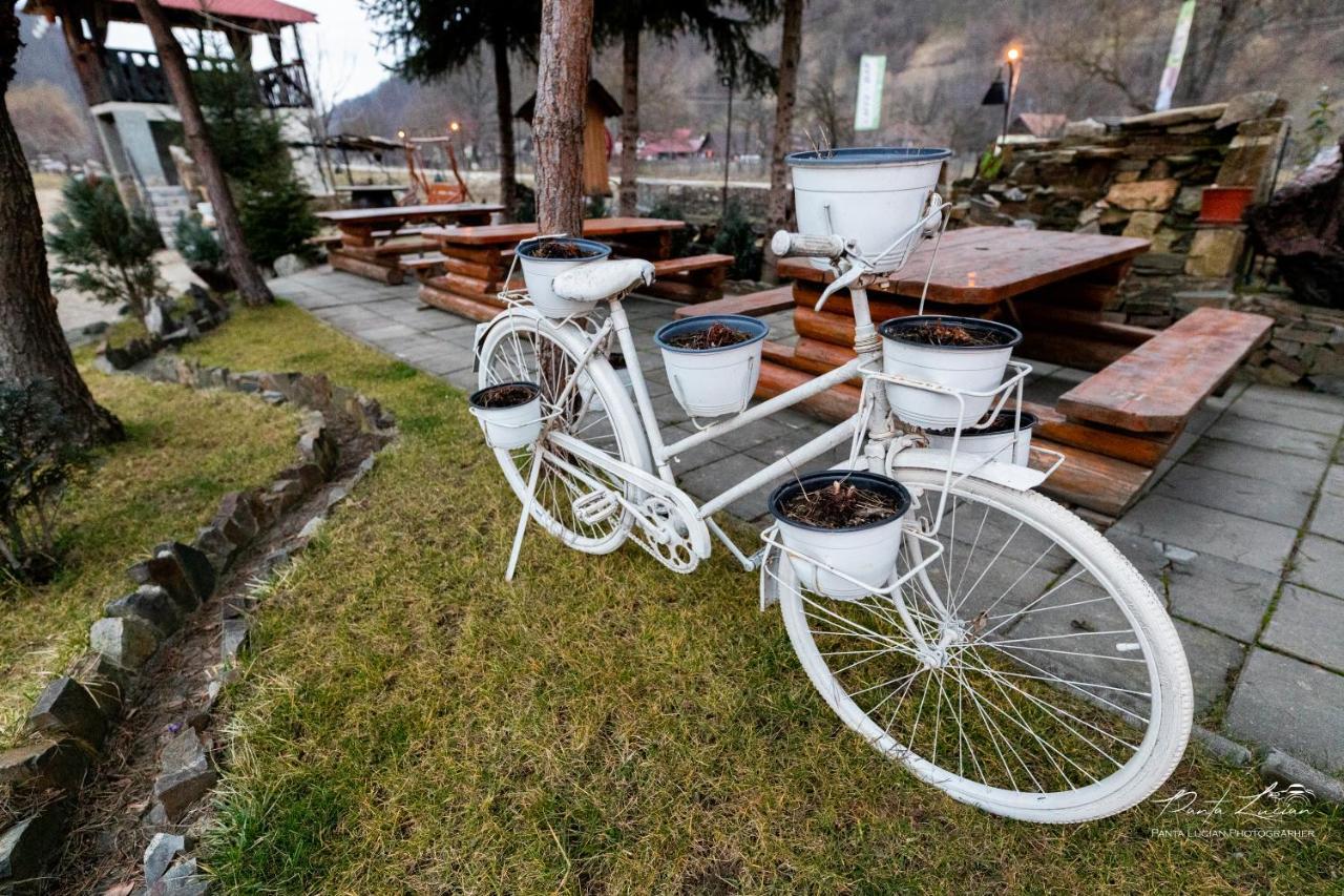 Casa Micutu Si Lya Strungari Exterior foto